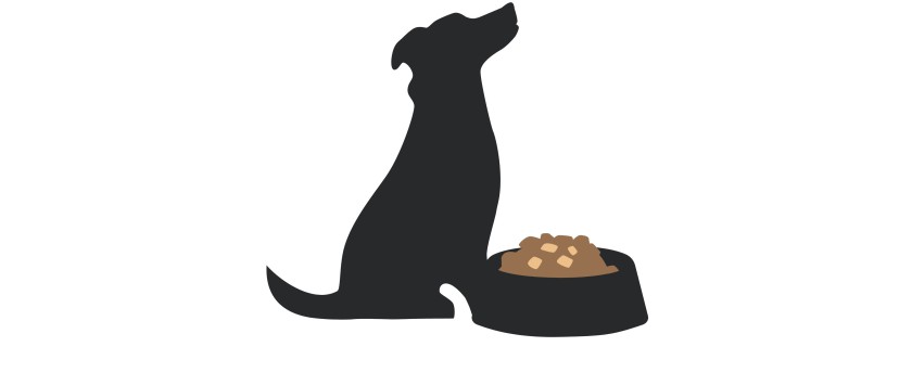 Für Ihren Liebling Für Ihren Liebling