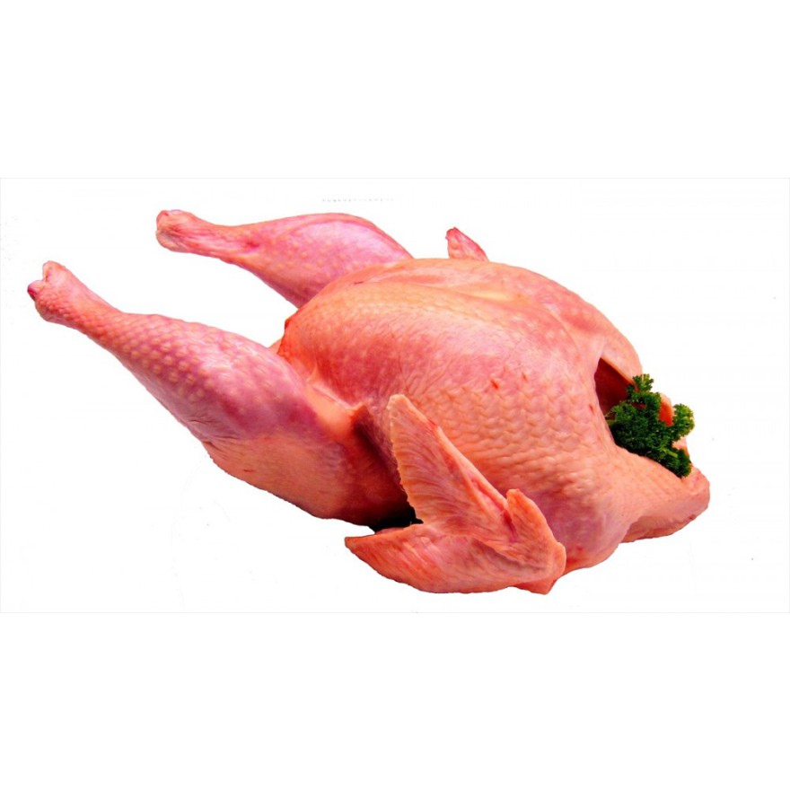 Ganze Festtagspute tiefgefroren zu Weihnachten (16,90€/kg)